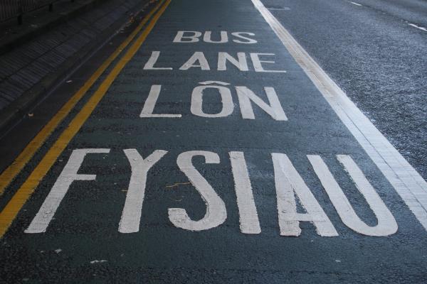 Bus lane road marking