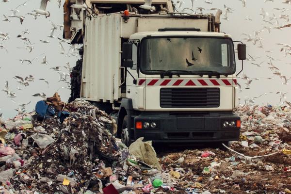 seagulls flocking around a refuse truck and landfill