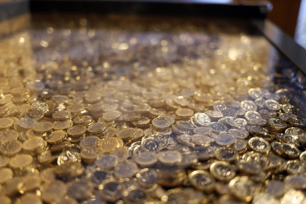 Pound coins