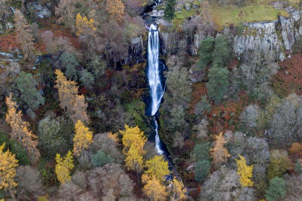 aerial view of forest and waterfall