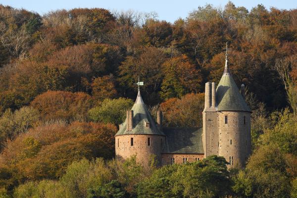a castle surrounded by trees - Castell Coch