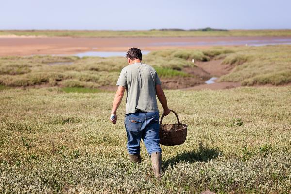 a man foraging along the Welsh coastline