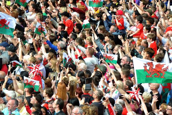 Wales fans celebrating in a Stadium