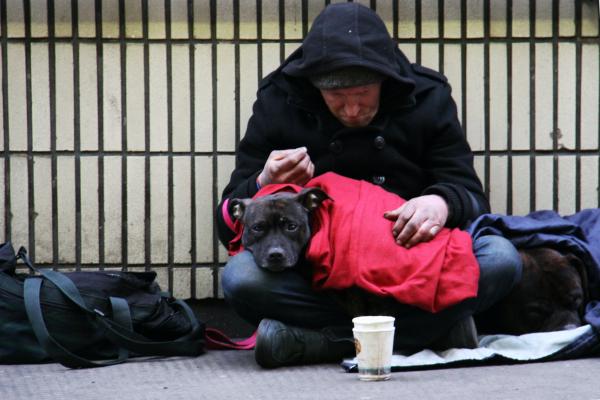 a homeless man on the street with his dog