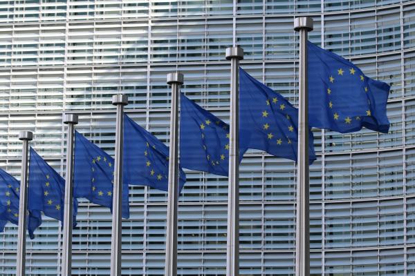 EU flags outside the EU parliament in Brussels